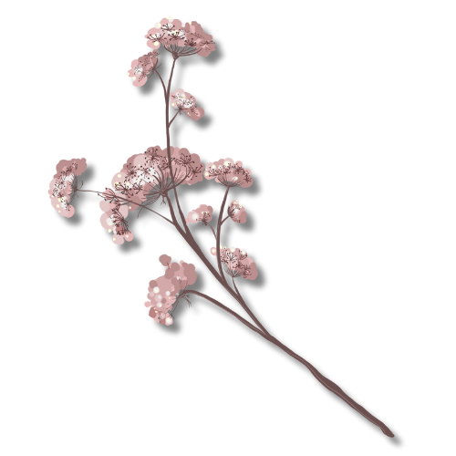 Delicate pink flower branch with small blooms and green accents on a dark background, showcasing intricate floral design.